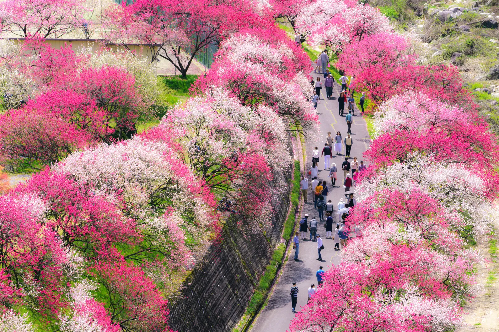 Nagano, Japan